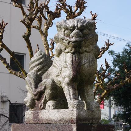 ���a�P�O�N�X��