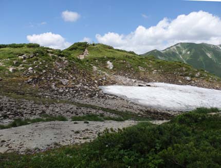 �R�������Ɏc��