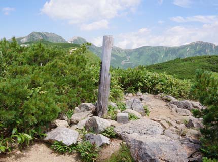 �R���A���艜�ɞ���x