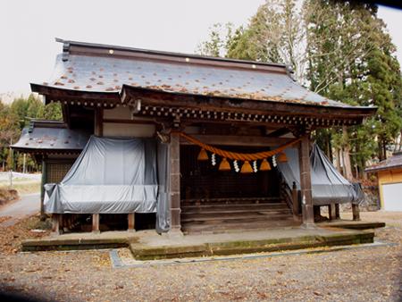 �X�J�[�g���͂����悤�Ȕq�a