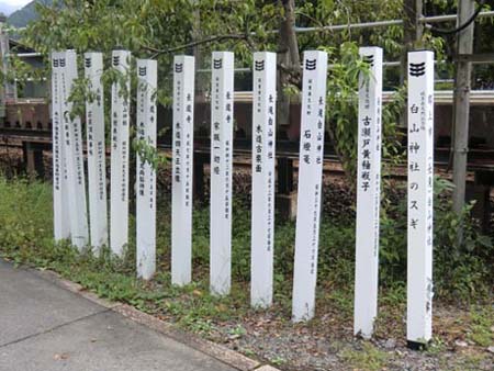 �Г��ɗ��������̏��݂������W��