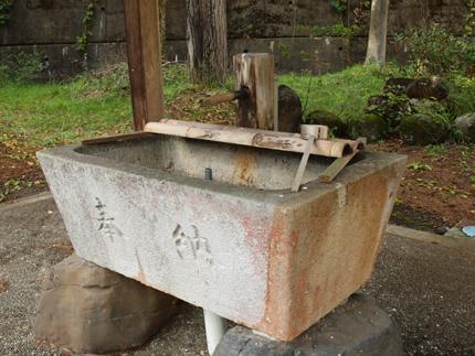 ���ނƔ��l�ɂȂ�Ƃ�����u�O�b�r�_�����v�͌͂�Ă��܂��Ă���