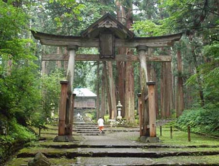 ��Q�̒����͝G�z�ɉ����̂�����قȌ`