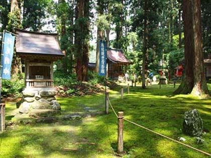 �������̋�����