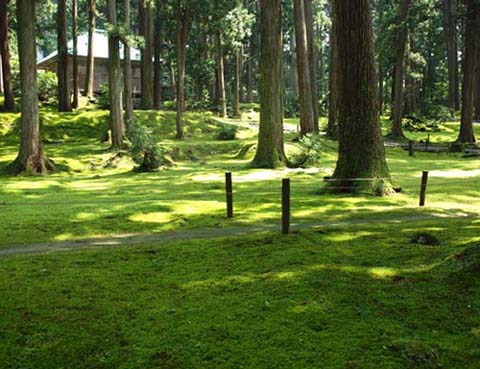 �ێ��ƌĂ΂�鏊��