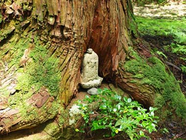 ���̍����Ɂc