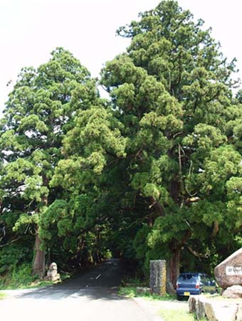 �������炪�����A�吙�̂��т�����